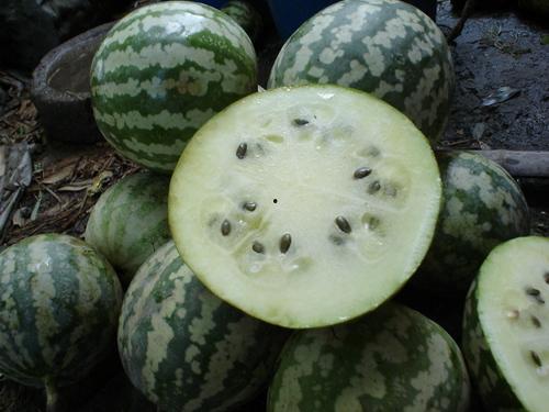 冰糖绿宝瓜怎么吃,清新口感与营养价值的完美融合